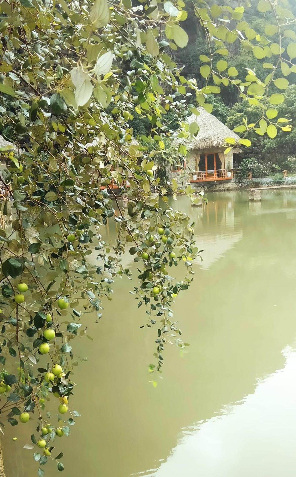 Hang Mua Eco Garden Xuan Son Extérieur photo
